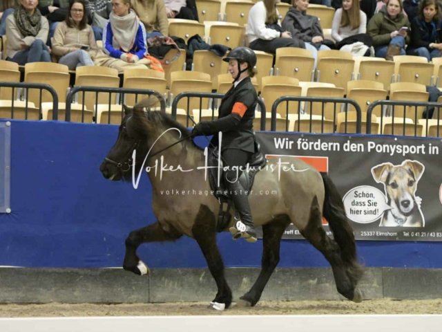 IPZV Samstag Prüfung 2 11