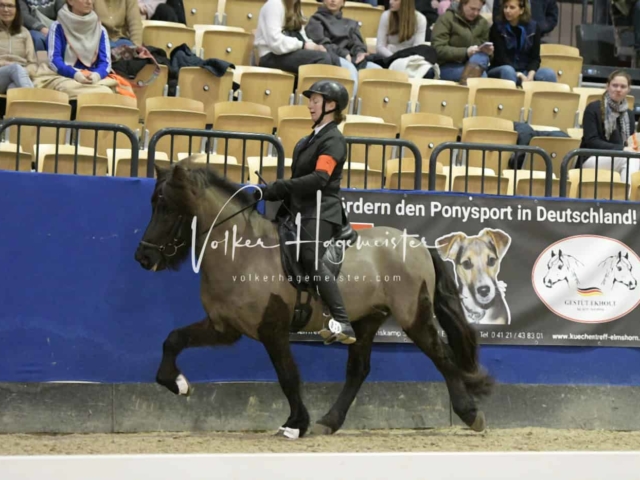 IPZV Samstag Prüfung 2 12