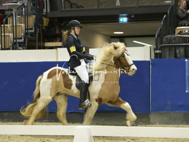 IPZV Samstag Prüfung 2 18