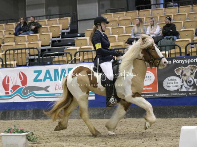IPZV Samstag Prüfung 2 22