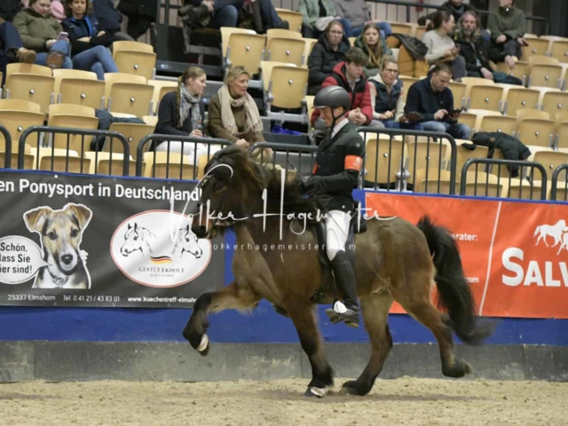 IPZV Samstag Prüfung 3 1