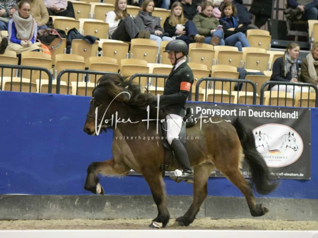 IPZV Samstag Prüfung 3 2