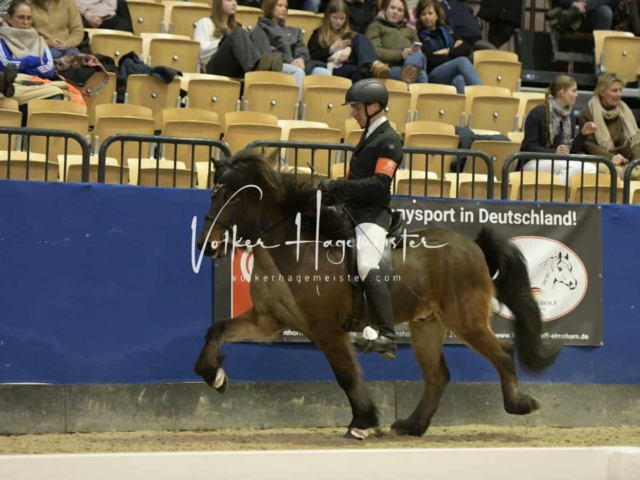 IPZV Samstag Prüfung 3 3