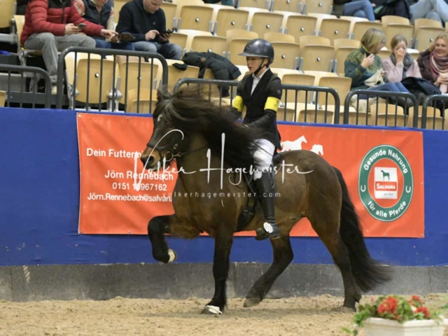 IPZV Samstag Prüfung 3 4