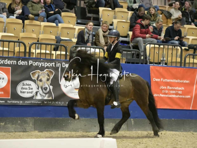 IPZV Samstag Prüfung 3 5