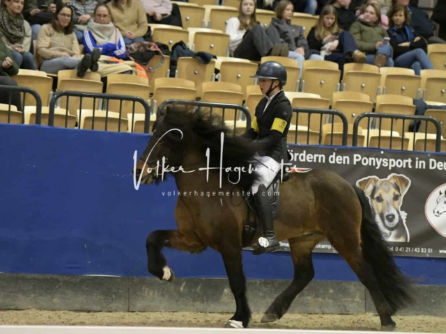 IPZV Samstag Prüfung 3 6