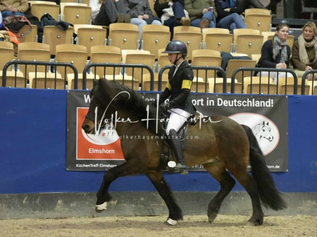 IPZV Samstag Prüfung 3 8