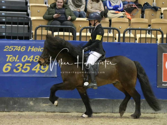 IPZV Samstag Prüfung 3 9