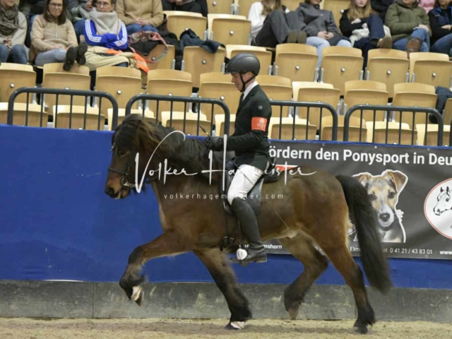 IPZV Samstag Prüfung 3 11