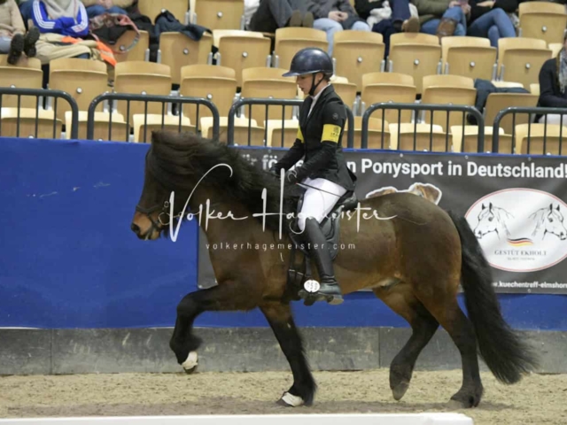 IPZV Samstag Prüfung 3 13