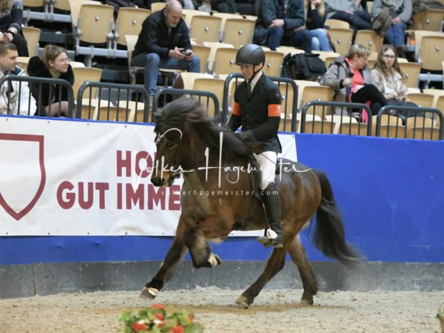 IPZV Samstag Prüfung 3 15