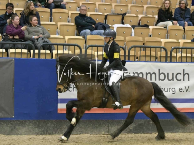 IPZV Samstag Prüfung 3 16