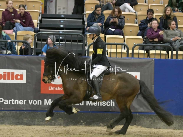 IPZV Samstag Prüfung 3 17