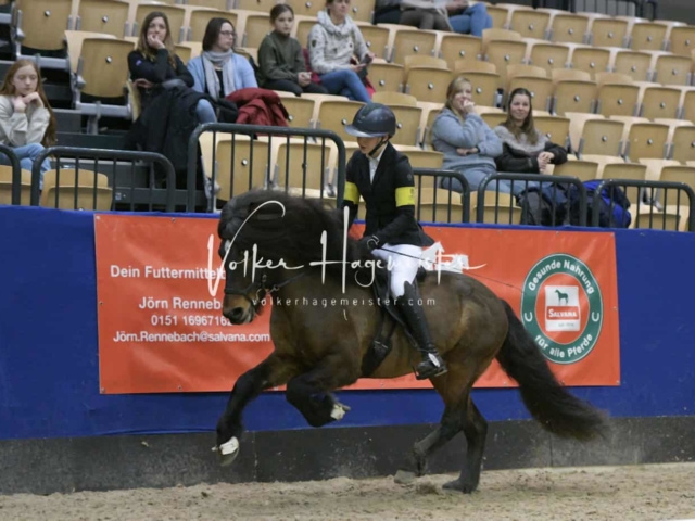 IPZV Samstag Prüfung 3 18