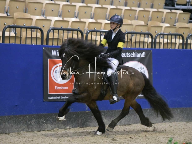 IPZV Samstag Prüfung 3 22