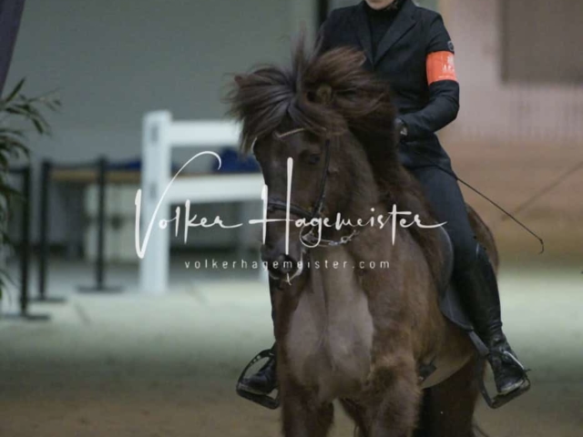 IPZV Samstag Prüfung 3 24