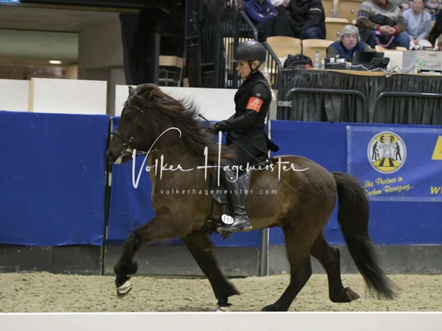 IPZV Samstag Prüfung 3 25