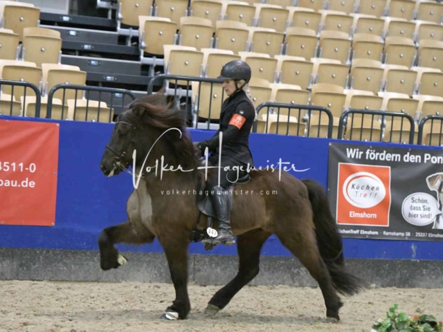 IPZV Samstag Prüfung 3 27