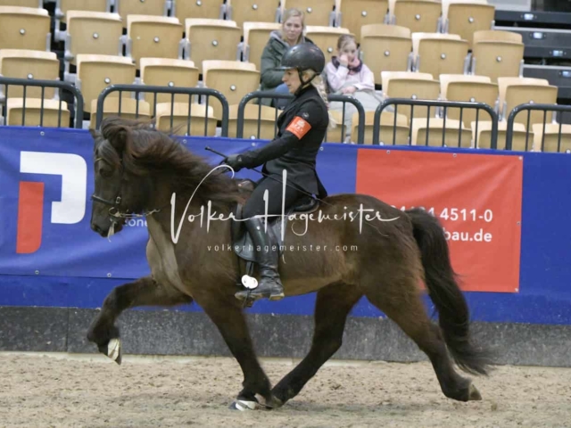 IPZV Samstag Prüfung 3 28