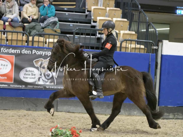 IPZV Samstag Prüfung 3 29