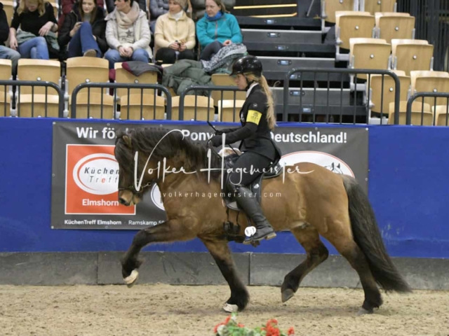 IPZV Samstag Prüfung 3 30