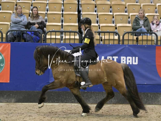 IPZV Samstag Prüfung 3 2