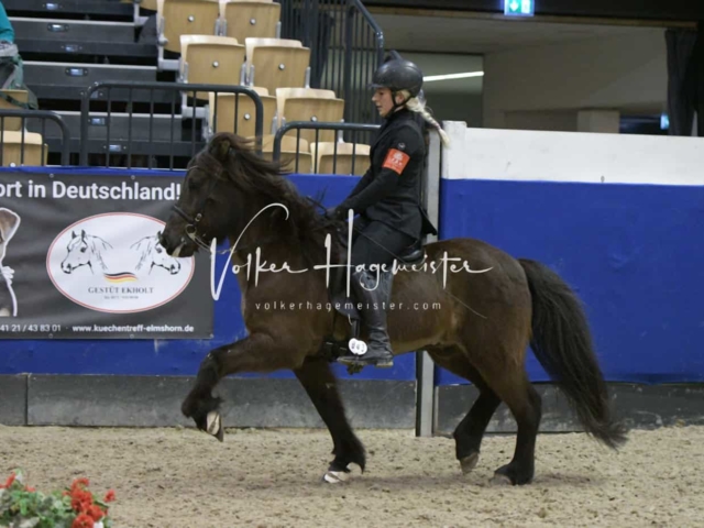 IPZV Samstag Prüfung 3 3