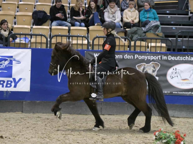 IPZV Samstag Prüfung 3 4