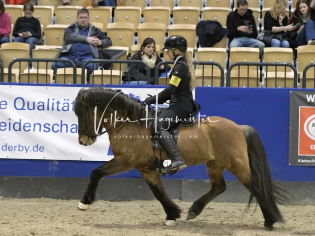 IPZV Samstag Prüfung 3 5
