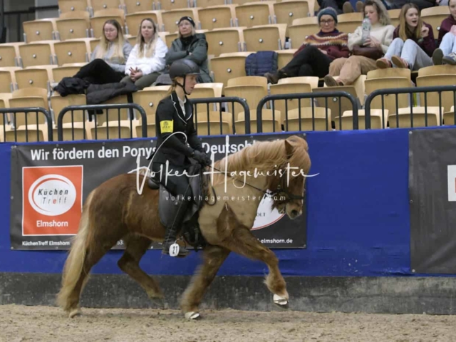 IPZV Samstag Prüfung 4 4