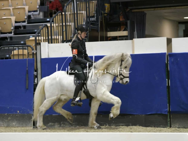 IPZV Samstag Prüfung 4 5