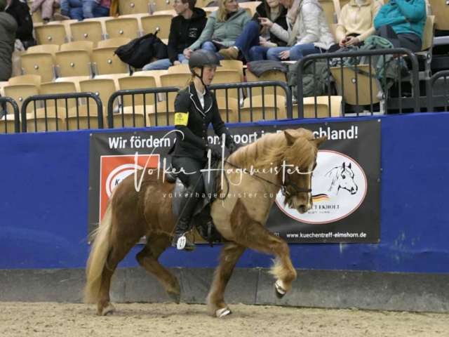 IPZV Samstag Prüfung 4 6
