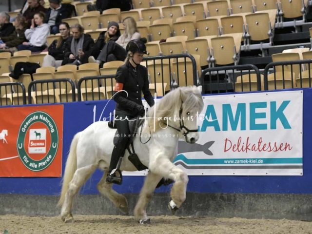 IPZV Samstag Prüfung 4 7