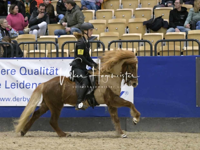 IPZV Samstag Prüfung 4 11
