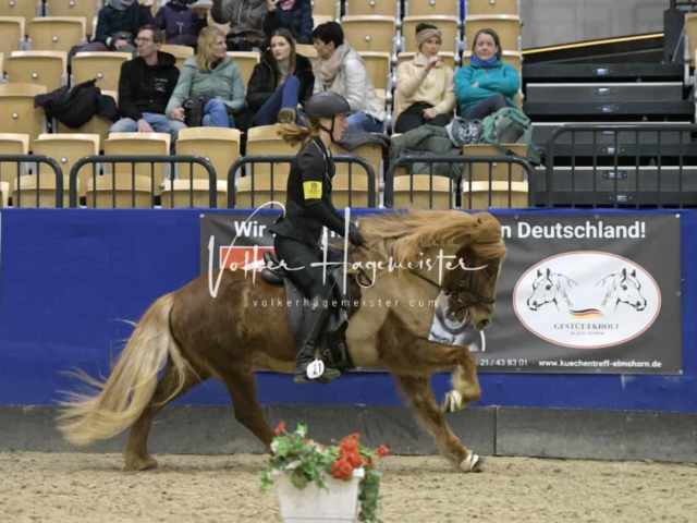 IPZV Samstag Prüfung 4 12