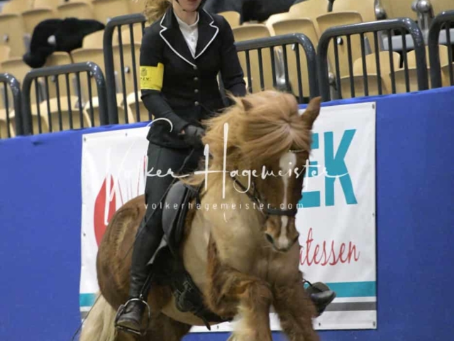 IPZV Samstag Prüfung 4 14