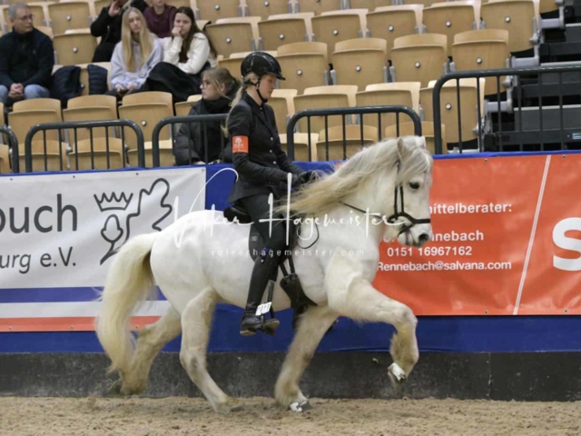 IPZV Samstag Prüfung 4 17