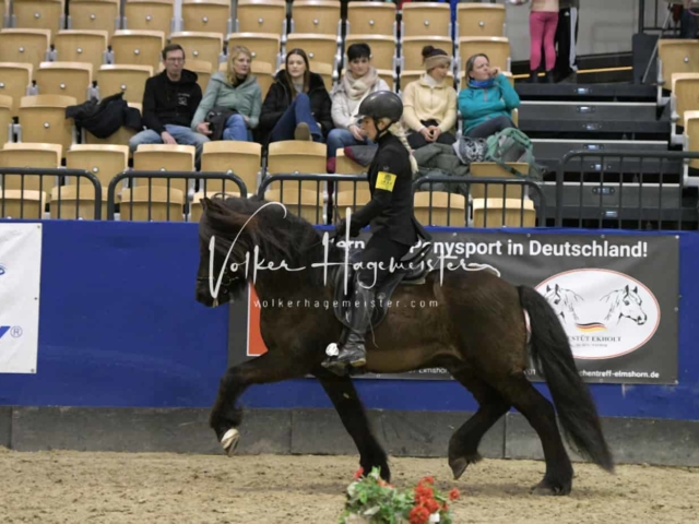 IPZV Samstag Prüfung 4 20