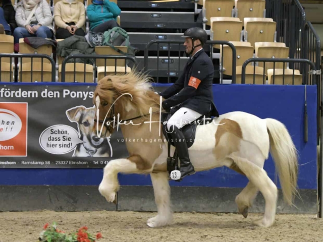 IPZV Samstag Prüfung 4 21