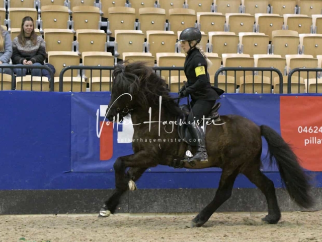 IPZV Samstag Prüfung 4 22