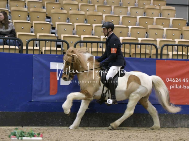 IPZV Samstag Prüfung 4 26