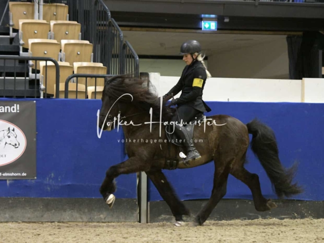 IPZV Samstag Prüfung 4 29