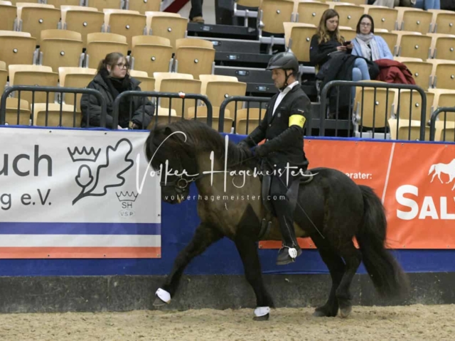 IPZV Samstag Prüfung 4 2