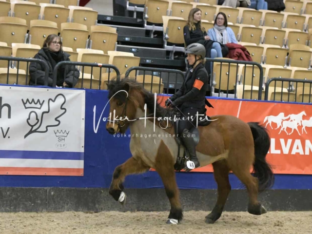 IPZV Samstag Prüfung 4 3