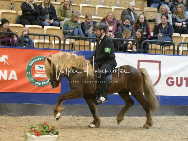 IPZV Samstag Prüfung 4 4