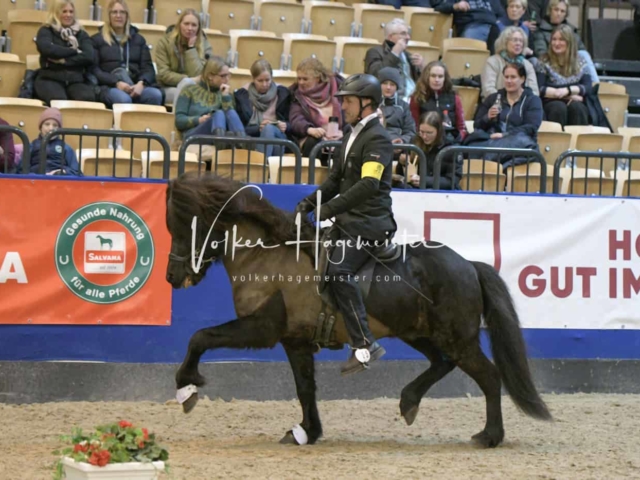 IPZV Samstag Prüfung 4 5