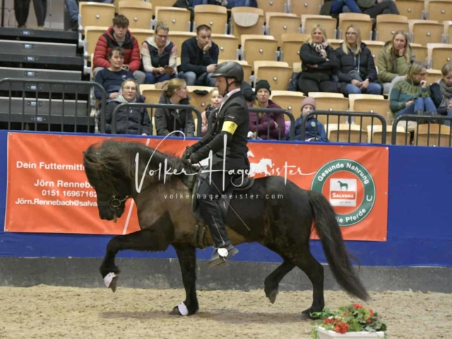 IPZV Samstag Prüfung 4 6