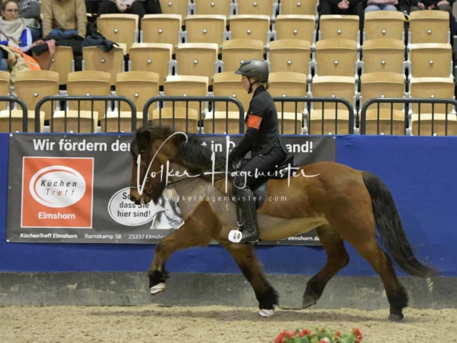 IPZV Samstag Prüfung 4 7