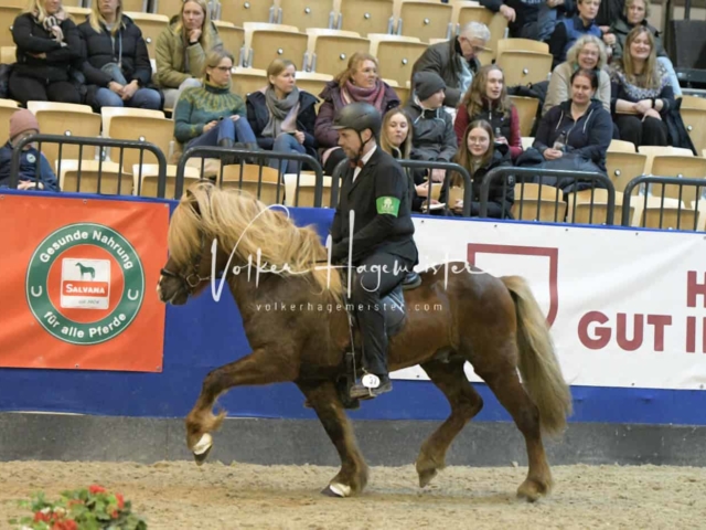 IPZV Samstag Prüfung 4 8