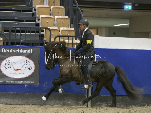 IPZV Samstag Prüfung 4 9